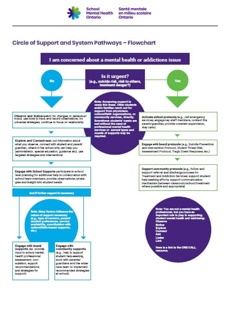 Circle of Support and System Pathways Flowchart