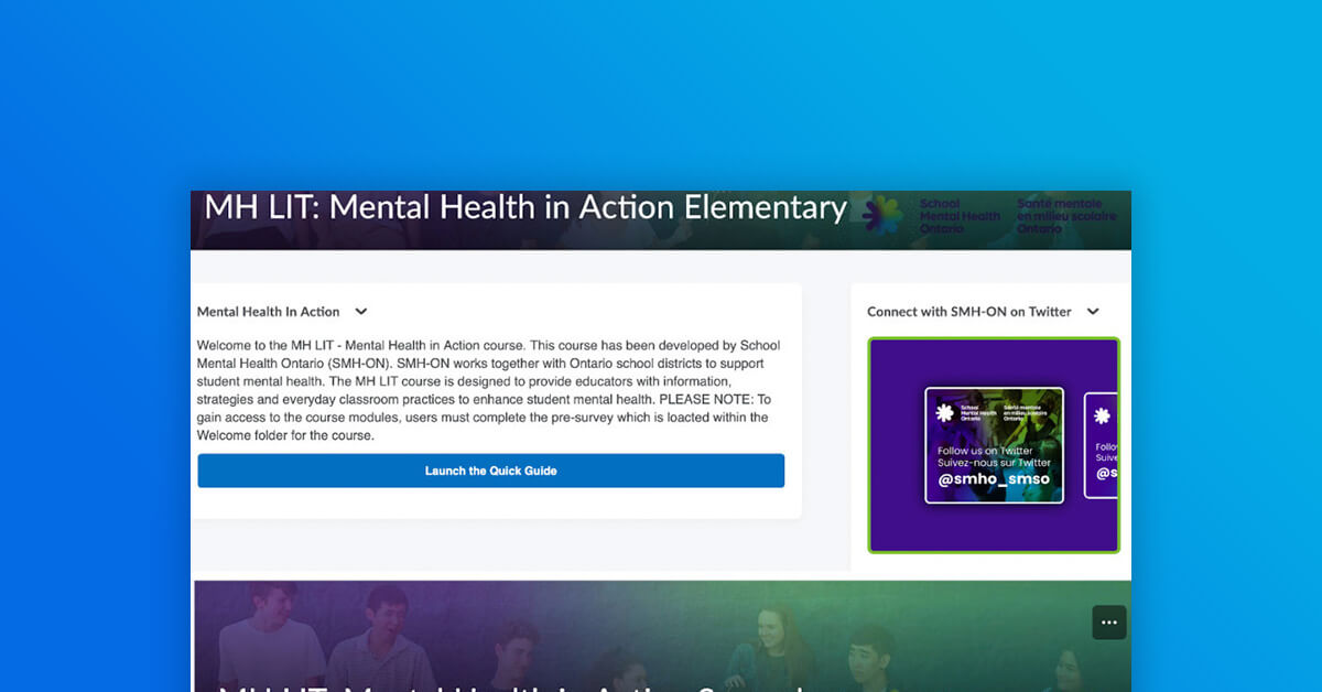 MH LIT – Mental Health in Action Online Course - School Mental Health ...