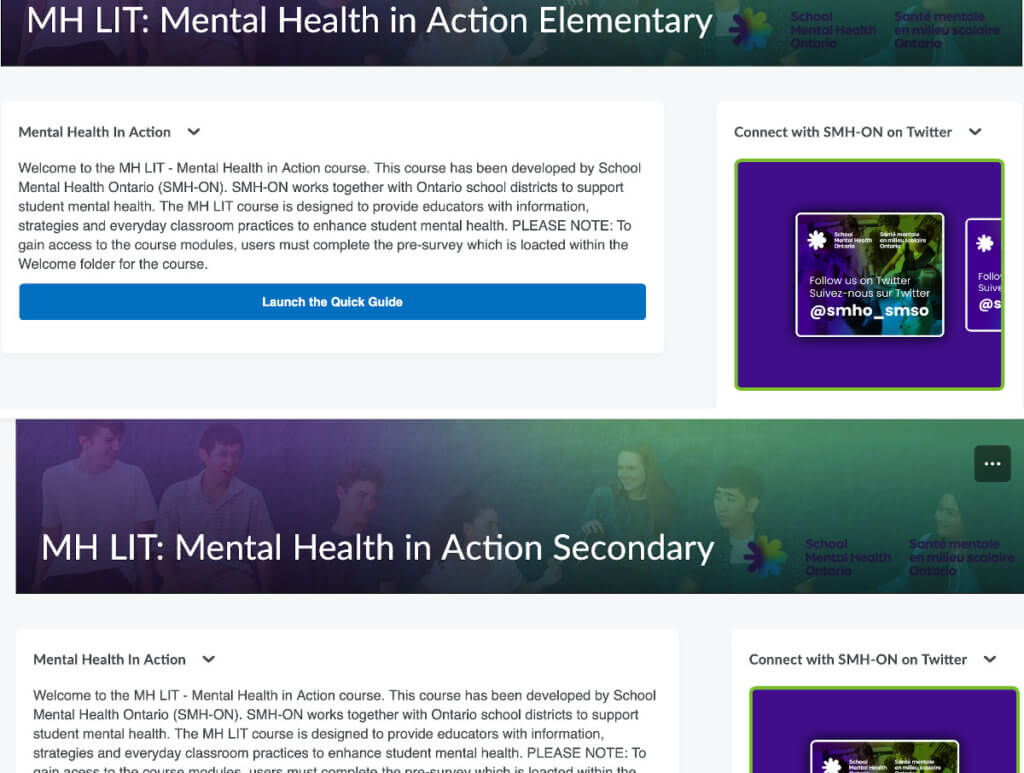 MH LIT – Mental Health in Action online course - Educators
