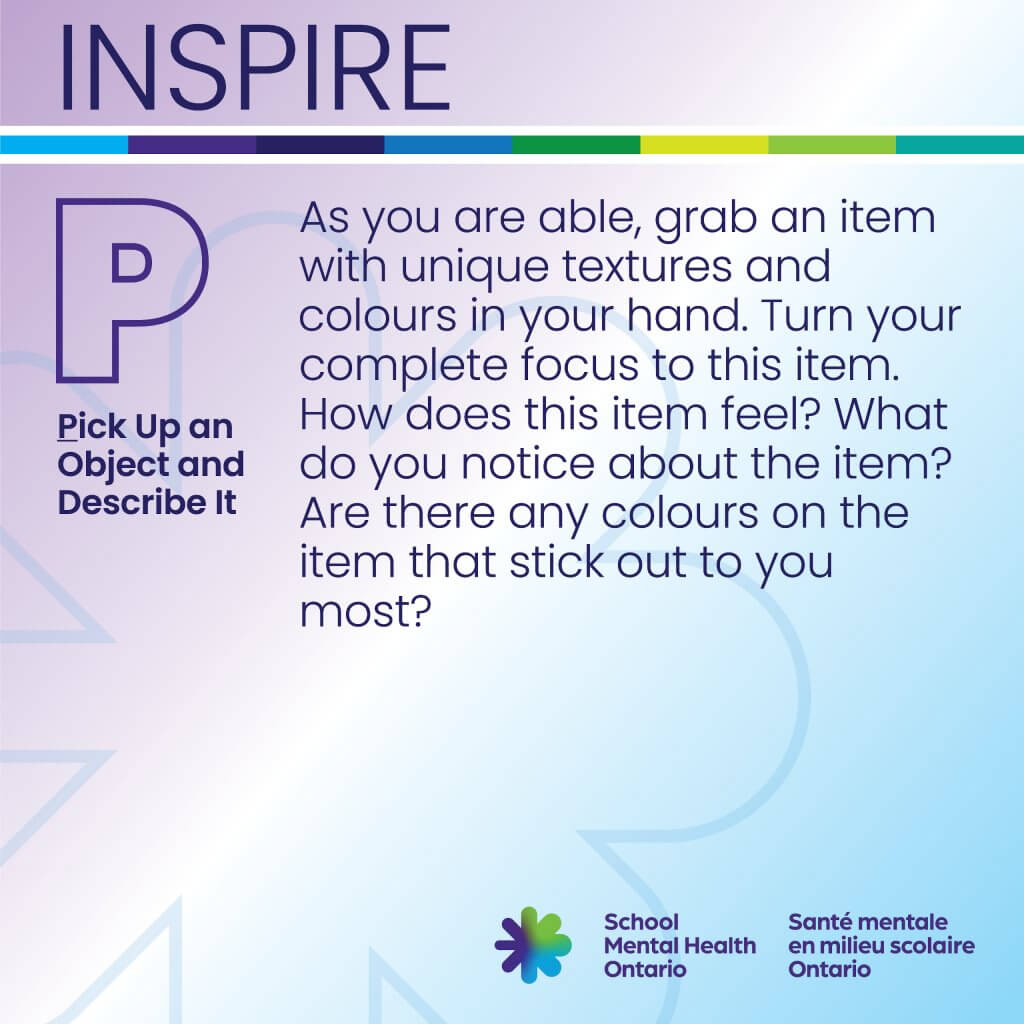 Pick up an Object and Describe it - Full description follows.