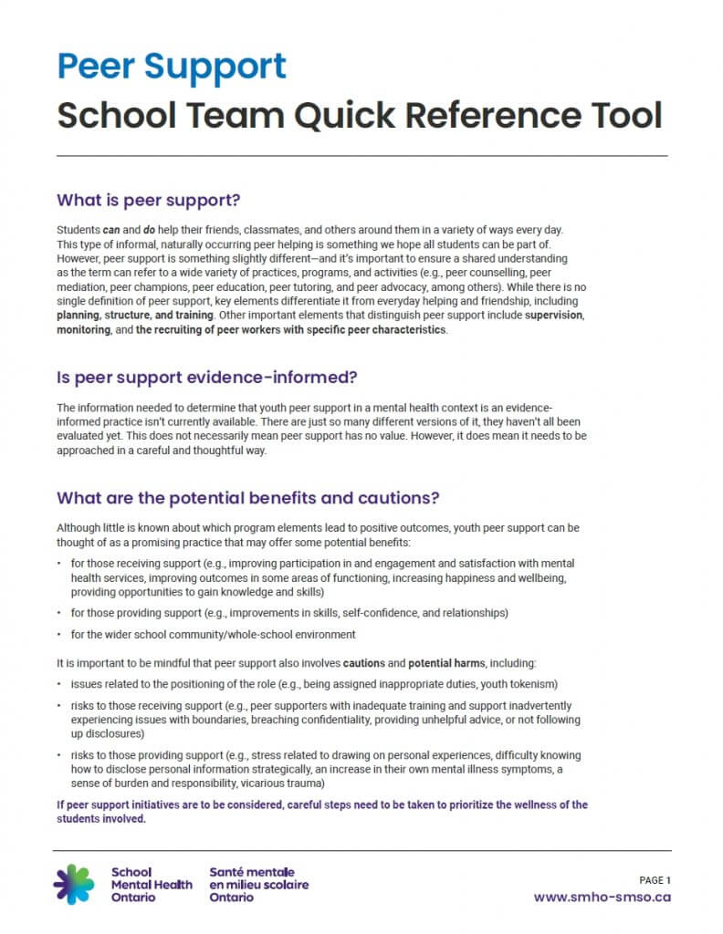 Peer Support: School Team Quick Reference Tool cover