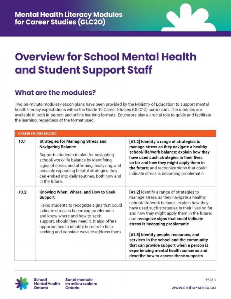 School Mental Health Professional Overview