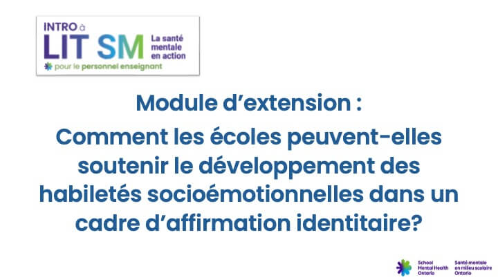 Module d’extension: Le développement des habiletés socioémotionnelles dans un cadre d’affirmation identitaire