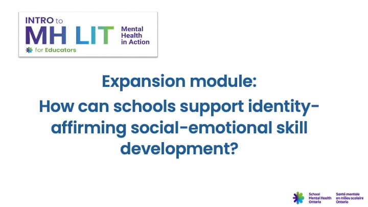 Expansion module: Identity-affirming social-emotional skill development